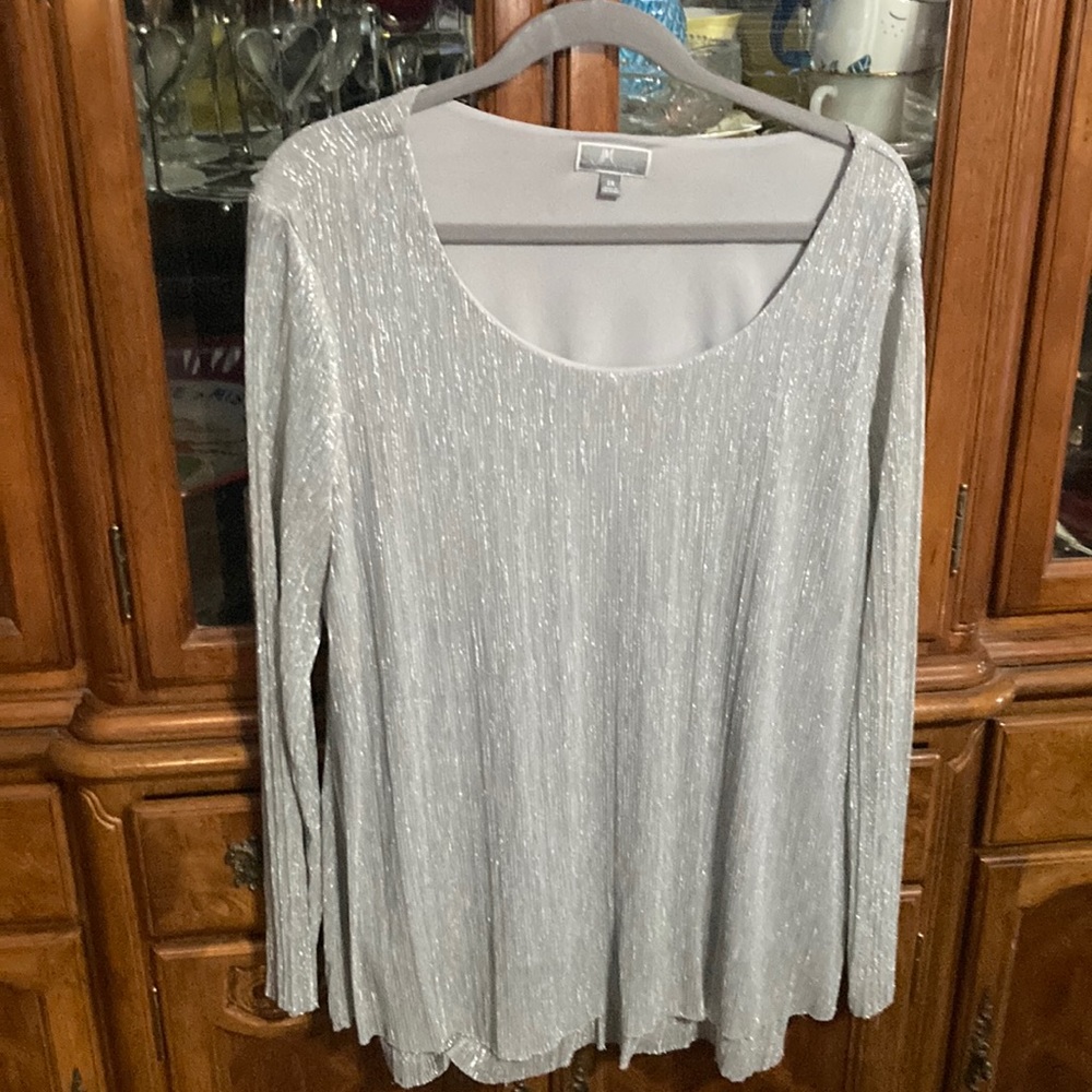 JM Collection Silver Shimmer Top